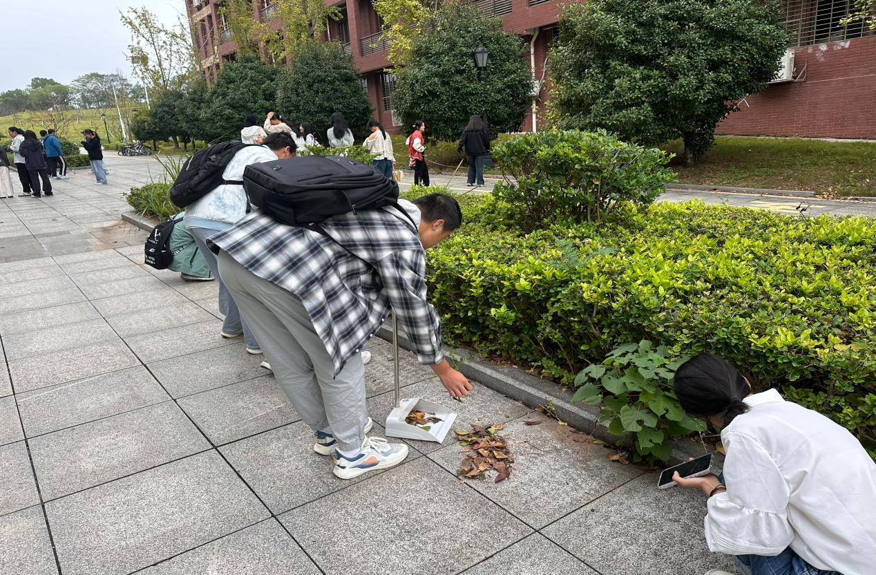 e2ffa881ad0942389e3833805195820c.png e2ffa881ad0942389e3833805195820c.png